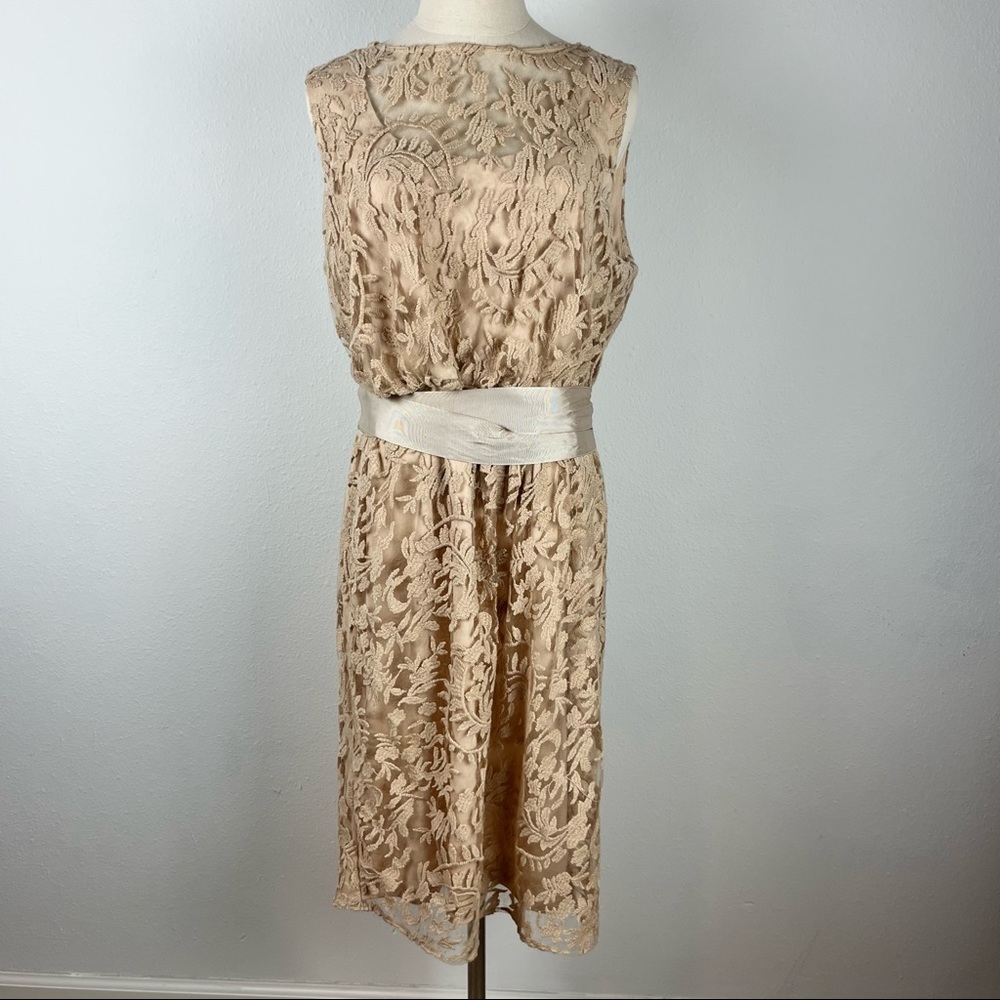Adrianna Papell Lace Dress in Beige